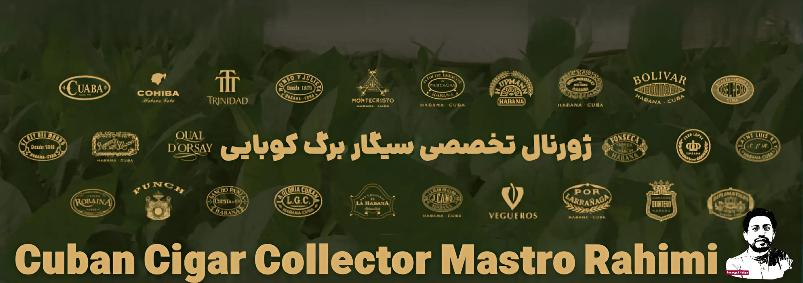 image_2025-11-15_22-07-39